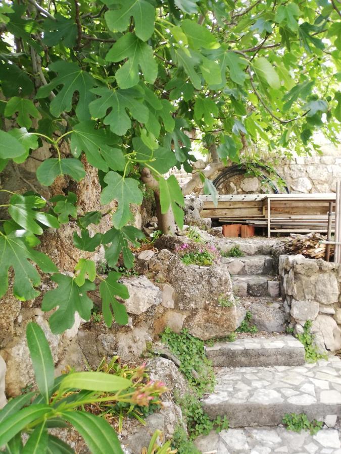 Apartment Plemic Pag Town Bagian luar foto